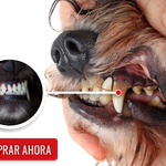 🐾ORALPET 🐶 Adiós Al Sarro 😻