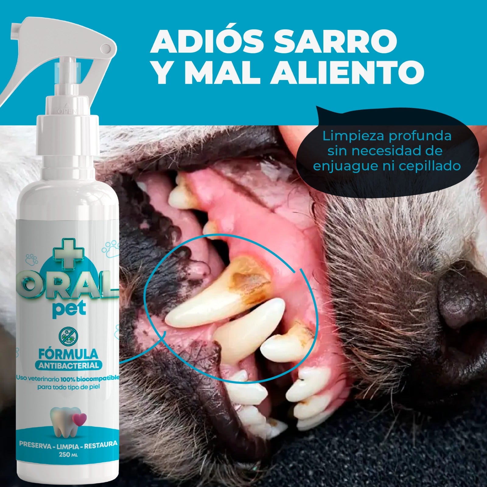 🐾ORALPET 🐶 Adiós Al Sarro 😻